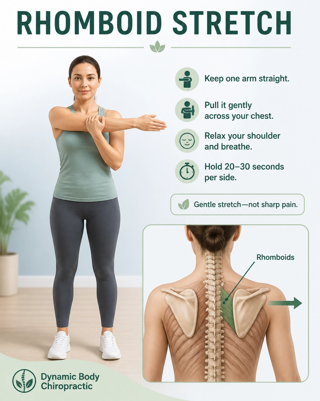 Image showing a stretch for the rhomboid muscles.  Muscle between the wing blades.